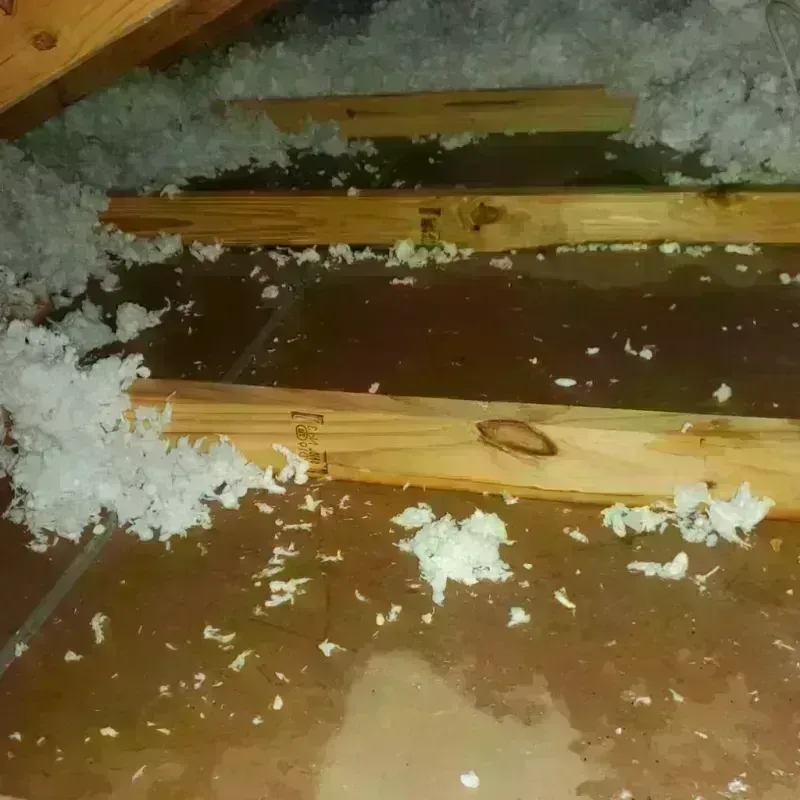 Attic Water Damage in Brookwood, AL