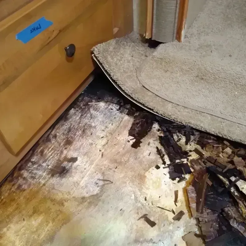 Wood Floor Water Damage in Brookwood, AL